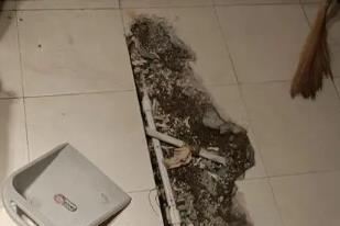 清苑区卫生间漏水检测电话